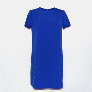 Tahari Arthur S Levine Shift Short Sleeve Knee length Blue Work Dress Size 6
